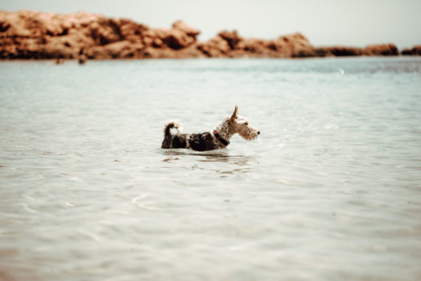 Photographer - www.maximeprokaz.com